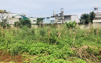 BÁN ĐẤT HẺM NGUYỄN HỮU THẤU PHƯỜNG TÂN LỢI