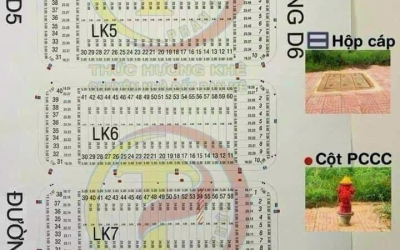 ĐẤU GIÁ TÂN PHONG PHƯỜNG TÂN HOÀ HẺM PHẠM VĂN ĐỒNG QUỐC LỘ 26