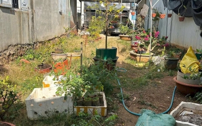 ĐẤT HẺM 06 TRẦN VĂN PHỤ PHƯỜNG TÂN LỢI