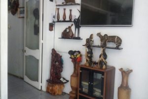 Bán nhà 22 mét mặt tiền đường Hồ Tùng Mậu – Tân Tiến – Buôn Ma Thuột – ĐăkLăk