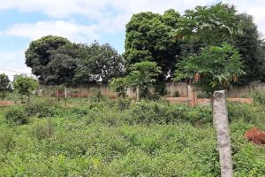 Bán đất đường B2 thôn 4 Cư bua – Buôn Ma Thuột – Đăk Lăk