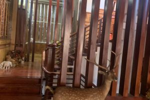 BÁN NHÀ MẶT TIỀN PHAN CHU TRINH BUÔN MA THUỘT ĐĂK LĂK