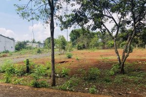 BÁN ĐẤT MẶT TIỀN ĐƯỜNG LỘ 1 BUÔN KY NGUYỄN THỊ ĐỊNH BUÔN MA THUỘT ĐĂK LĂK