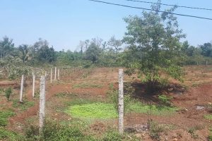 BÁN ĐẤT SÀO BUÔN HUÊ VIEW HỒ EAKAO BUÔN MA THUỘT ĐĂK LĂK