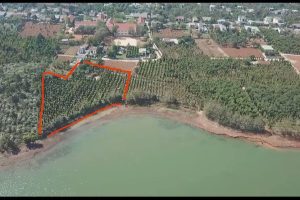 BÁN ĐẤT VIEW HỒ EA KAO GẦN ỦY BAN NHÂN DÂN XÃ EAKAO