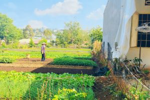 BÁN ĐẤT HẺM 91 ĐƯỜNG TRẦN QUÝ CÁP BUÔN MA THUỘT ĐĂK LĂK