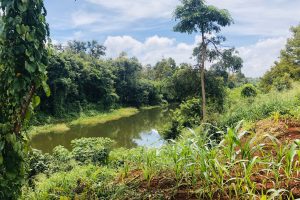 BÁN ĐẤT SÀO VIEW HỒ EA CHU CÁP SAU LƯNG VIỆN EA KMAT