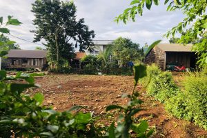 BÁN ĐẤT ĐƯỜNG Y MOAN CÁCH NHÀ THUỐC NHƯ Ý 600 MÉT