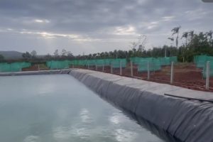 🔥🌿 BÁN ĐẤT RẪY TIỀM NĂNG TẠI EA PÔK CƯ MGAR ĐĂK LĂK 🌿🔥