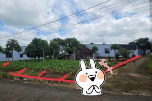 🔥💦 4 LÔ ĐẤT LIỀN KỀ HẺM VÕ VĂN KIỆT XÃ HÒA PHÚ ĐĂK LĂK 🔥